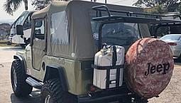 Jeep Willys 1969 Motor De Maverick 4Cc