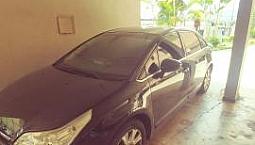 C4 Pallas Exclusive 2011