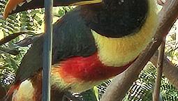 Ccsw5-Sudoeste-Ed.beta Studios-Kit27M2-Linda-Diaria-Mensal Ou Anual