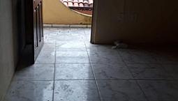 Alugo Casas No Castelão (Direto Com Proprietário)