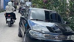 Fiat Palio Elx 1.4 Mpi Fire Flex 8V 4P 2007