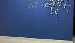 Alugo Sala Para Fins Comerciais Estética 