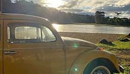Fusca 75