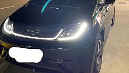 Byd Dolphin Ev (Elétrico) 2024