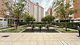 Apartamento Em Pedra Branca - Locação - 3 Dormitórios (1 Suíte)