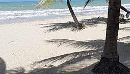 Apt Junto A Praia. Perfeito Pra Uma Ou Duas Pessoas. Locação Anual. 36M2<Br>Wats 83.98687.620