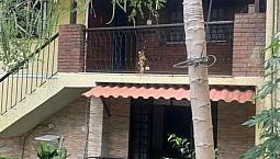 Aluguel Rapazes Casa Méier E Maria Da Graça 
