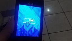 Lg L1