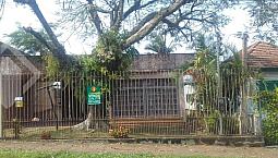 Casa À Venda Com 3 Dormitórios Em Jardim Lindóia, Porto Alegre Cod:238164