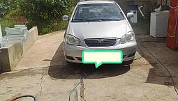 Toyota Corolla Xli 1.6 16V 110Cv Aut. 2006