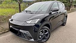 Byd Dolphin Mini (Elétrico) 2025