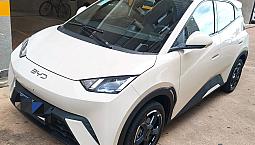 Byd Dolphin Mini (Elétrico) 2025