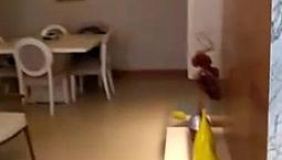 Apartamento 3 Quartos Ed. Anneti Vitali Club Residence Cód: 17747 Z