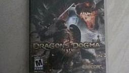 Dragons Dogma