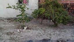 Vendo Casa 