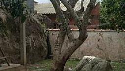 Casa Em São Francisco Do Sul 