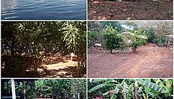 Rancho  No Lago De Cana Brava Em Minaçu Goias