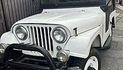 Willys Overland Jeep 2.6 12V Gasolina 2P 1963