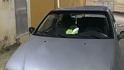 Fiat Palio 1.0/ Trofeo 1.0 Fire/ Fire Flex 2P 2006