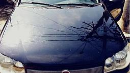 Palio 1.0 Economy Fire Flex 8V 4P