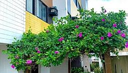 Apartamento Com Vista Para O Mar 65 M²