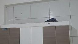 Kitnet Alugase