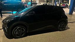 Byd Dolphin Mini (Elétrico) 2025