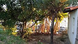 Casa E Terreno No Povoado Jatobá Na Barra Dos Coqueiros.