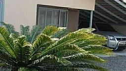 Casa No Floresta Barbada