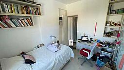 Apartamento - / Residencial / Botafogo