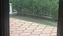 Alugo Casa Em Santo Antônio Da Patrulha 