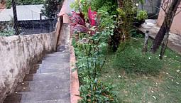 Casa Em São Geraldo. Distrito De Volta G