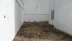 Apartamento Padrão