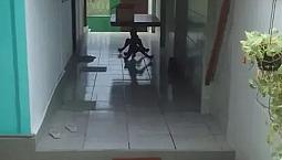 Casa 2 Quartos E Garagem Em (manilha) - Itaboraí - Rj