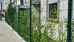 Barra Olimpica Apto Garden 1A Locaçao 2 Qts Lazer Total