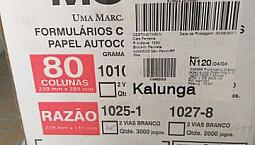 Formulario Auto Copiativo