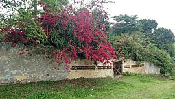 Casa E Natureza Exuberante Eng. Pedreira