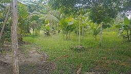 Quero Vender Essa Casa, No Bairro De Mosqueiro, Arriranba, Perto Da Praia,