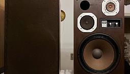 Caixa De Som Polyvox 90