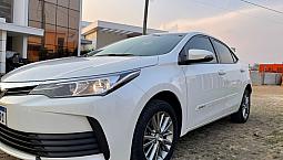 Corolla 2019 Impecável 