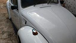 Venda