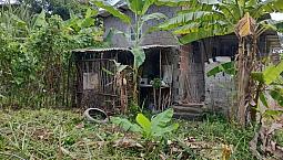 Casa Com Terreno Atrás E Na Frente 