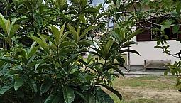 Vende Residencia Casa No Continente Florianopolis Garopaba Camboriu  