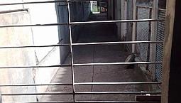 Casa Térreo Em Porta Larga