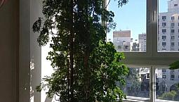 Cobertura Única No Bairro Jardim Botânico Com 350M² 4 Suítes, 2 Vagas De Garagem
