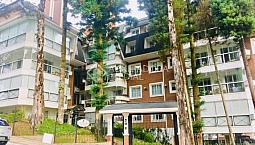 Apartamento Para Alugar Com 2 Dormitórios Em Centro, Gramado Cod:287789