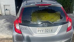 Honda Fit Lx 1.5 Flexone 16V 5P Aut. 2017