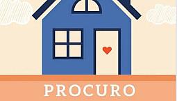 A Procura De Uma Casa Para Alugar Em Florianópolis Tapera 