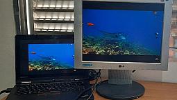 Monitor Lg 15 L15Ns-3 Com Detalhe Leia O Anuncio