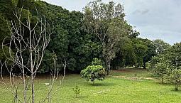 Casa Com Excelente Localização 